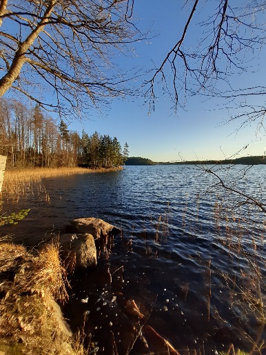 Uinuva marraskuu