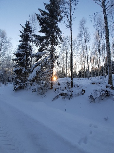 Intuitiivinen voimavaratyöskentely