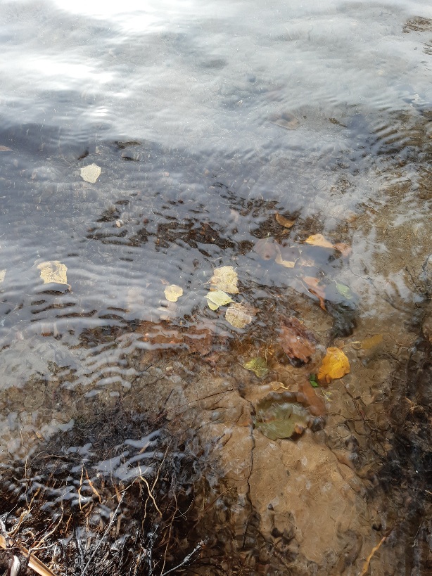 Kymmenen pientä hiirtä